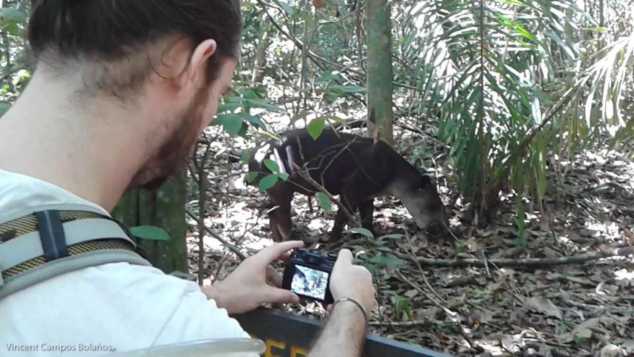 Drakes BayTapirus Playaアパートメント エクステリア 写真