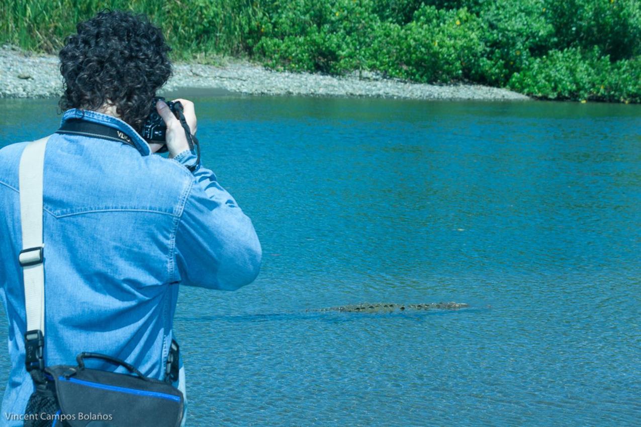 Drakes BayTapirus Playaアパートメント エクステリア 写真